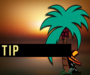 10% - Tip
